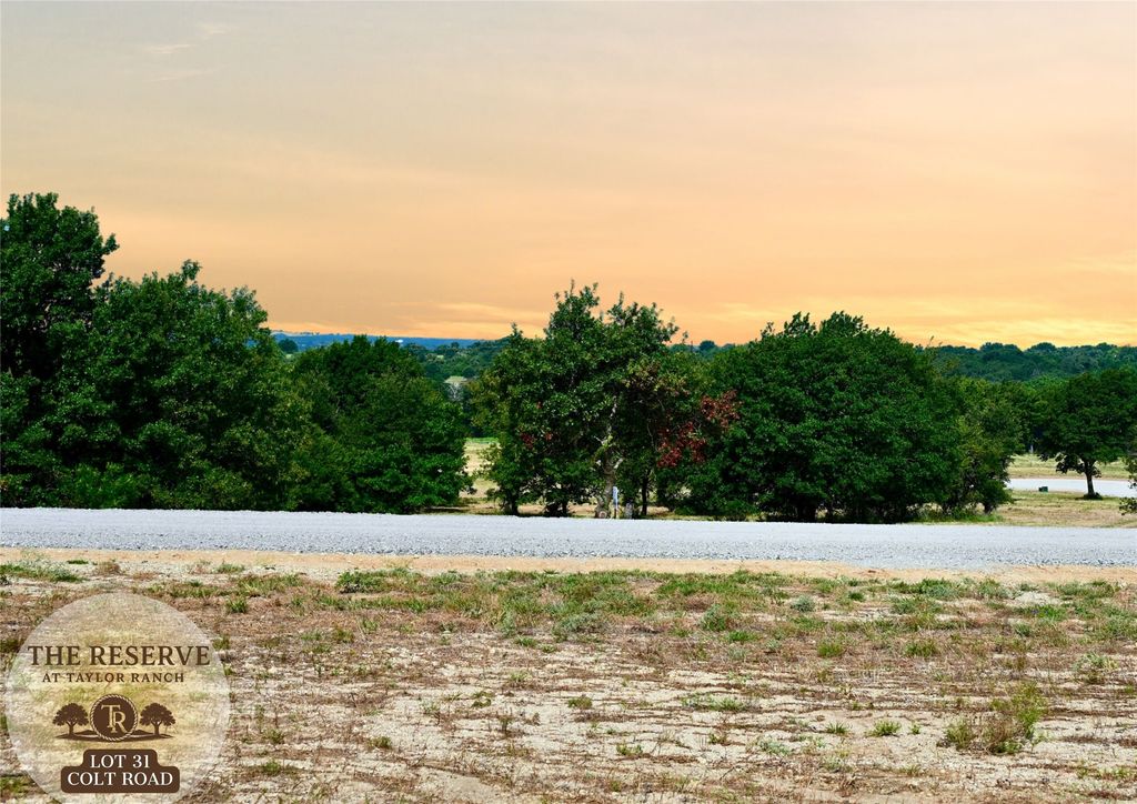 Lot 31 Colt Road, Springtown, TX 76082