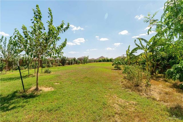 14801 Brazos Circle, Mcallen, TX 78504