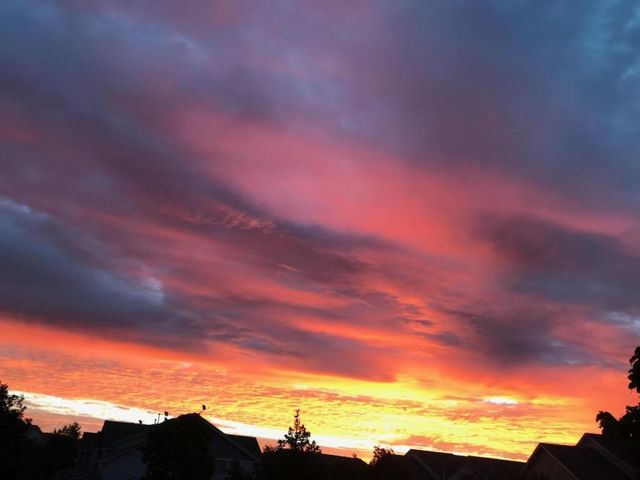 513 Cannon Way, Dundas, MN 55019