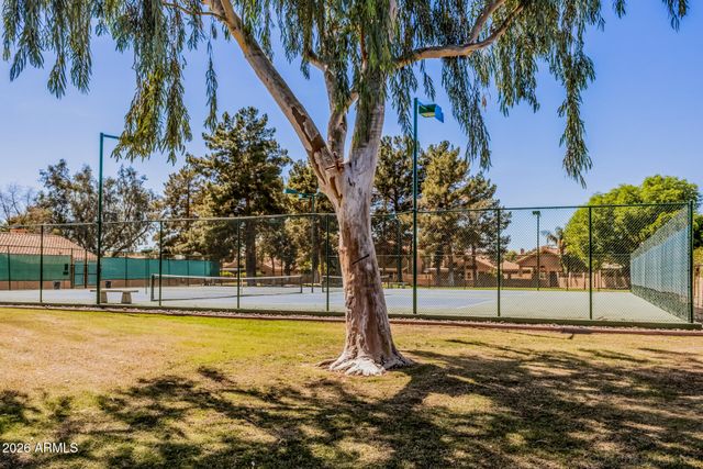 15636 N 51ST Street, Scottsdale, AZ 85254