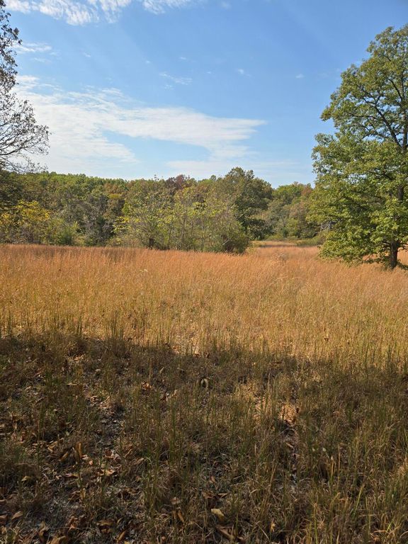 Lot 13 Arden Ridge, Ava, MO 65608