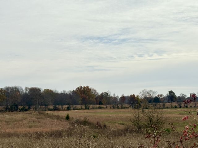 0 Thompson Ln, Portland, TN 37148