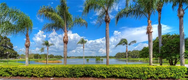 2963 HICKORY GROVE DRIVE, Valrico, FL 33596