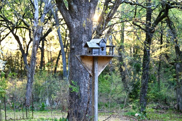 2211 Fm 2029, Telephone, TX 75488