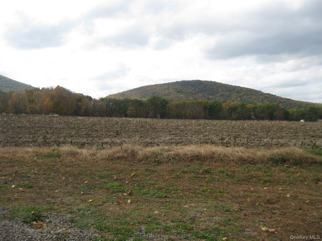 82 Lake Road, Pine Plains, NY 12567