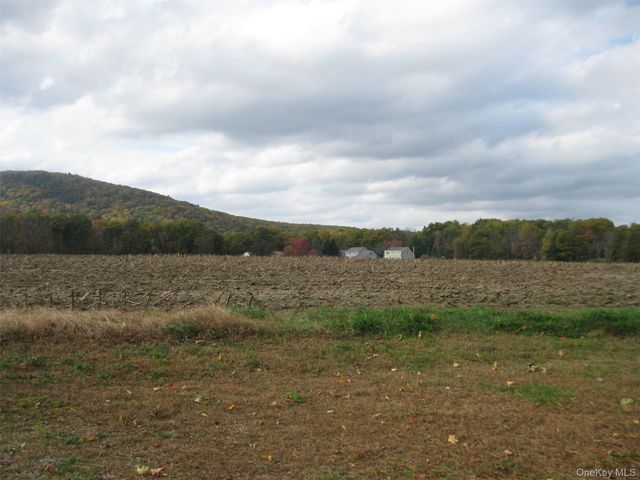 82 Lake Road, Pine Plains, NY 12567