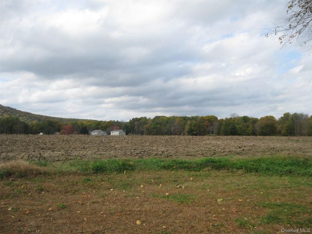 82 Lake Road, Pine Plains, NY 12567