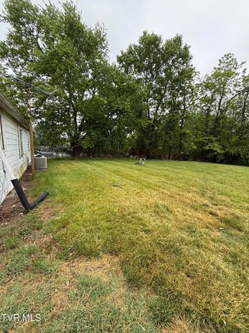 1007 Embreville Road, Johnson City, TN 37604