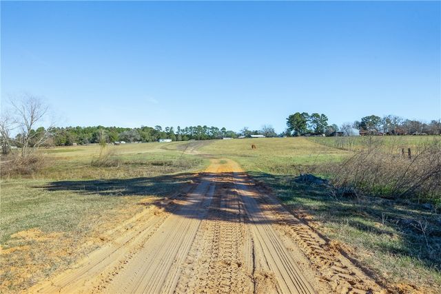 10802 County Road 203, Plantersville, TX 77363