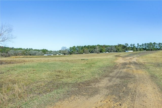 10802 County Road 203, Plantersville, TX 77363