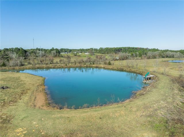 10802 County Road 203, Plantersville, TX 77363