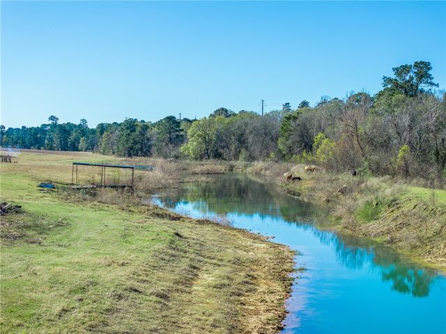 10802 County Road 203, Plantersville, TX 77363