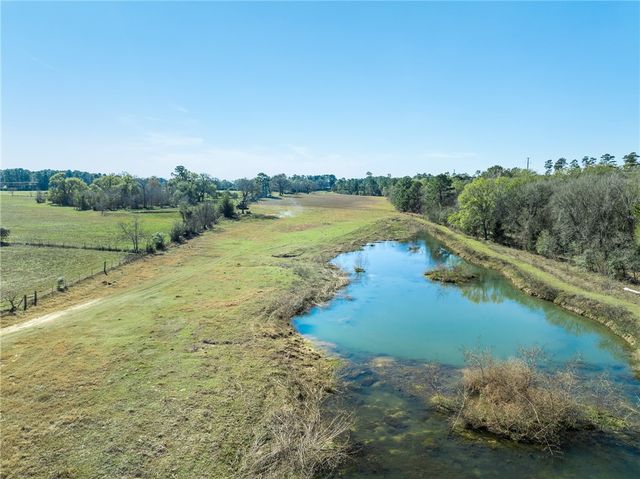 10802 County Road 203, Plantersville, TX 77363