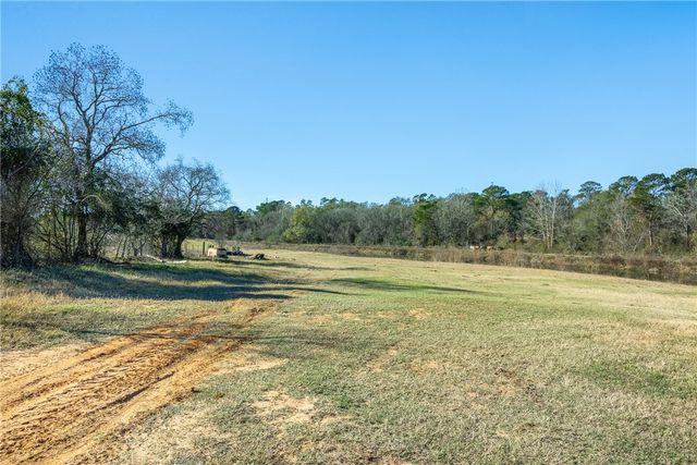 10802 County Road 203, Plantersville, TX 77363
