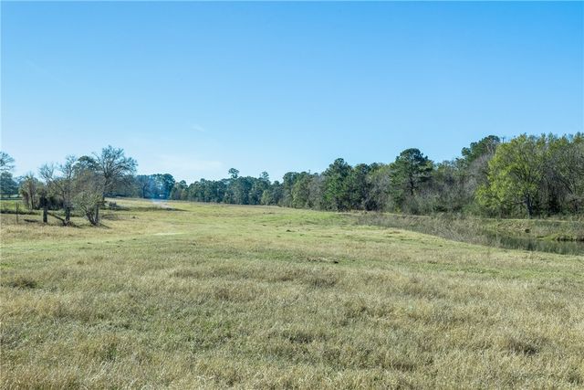 10802 County Road 203, Plantersville, TX 77363