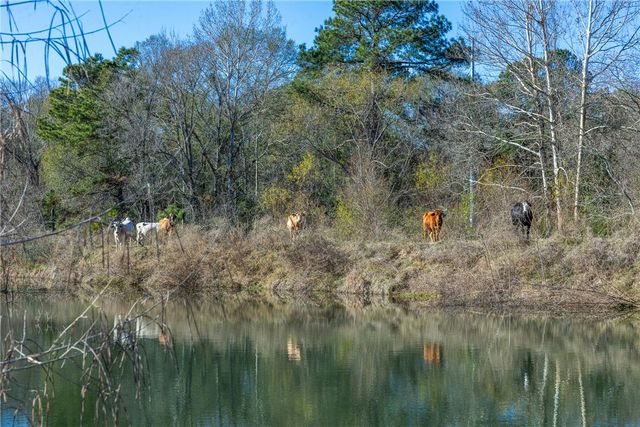 10802 County Road 203, Plantersville, TX 77363