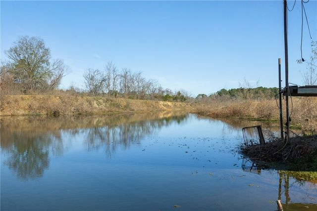 10802 County Road 203, Plantersville, TX 77363