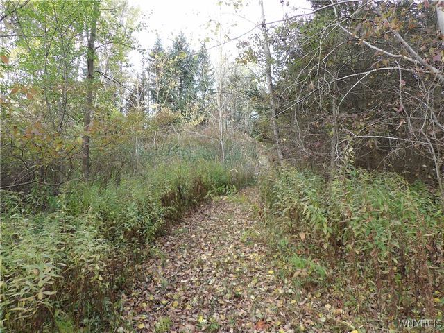 5025 Route 19a, Gainesville, NY 14550