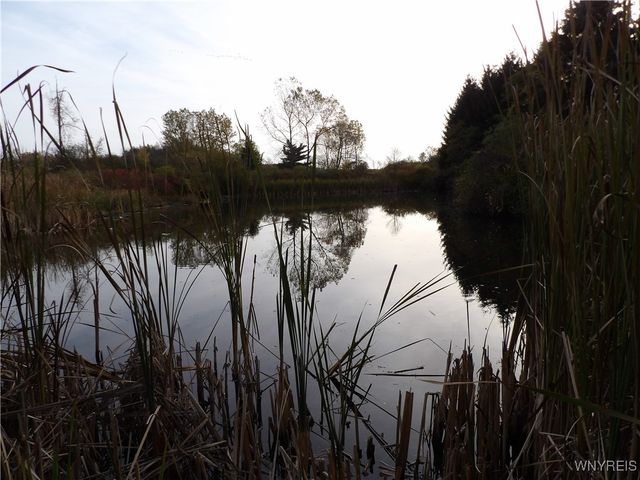 5025 Route 19a, Gainesville, NY 14550