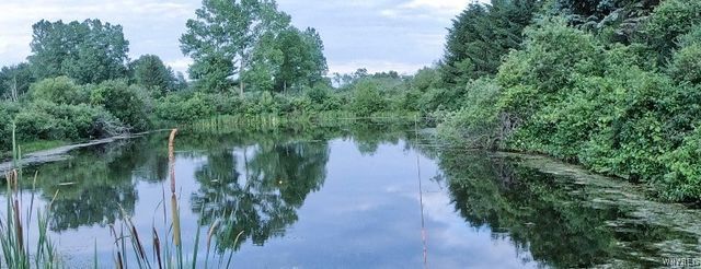 5025 Route 19a, Gainesville, NY 14550