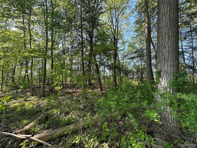 4233 State Road, Fort Gratiot, MI 48059