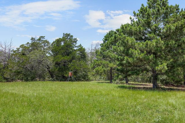 3941 County Road 219, Anderson, TX 77830