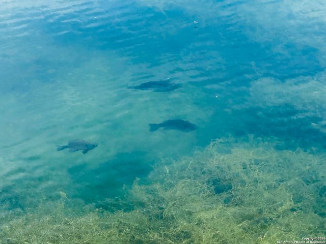 1485 Fm 2579, Floresville, TX 78114