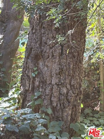 643 Hightree Road, Santa Monica, CA 90402