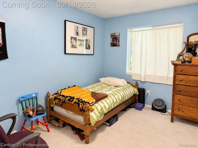 42583 Hammill Lane, Plymouth Charter Township, MI 48170