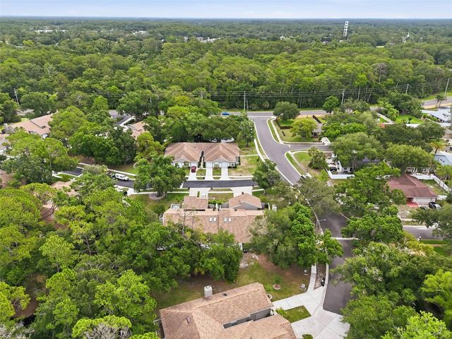 3142 BROOKER CREEK WAY, Palm Harbor, FL 34685