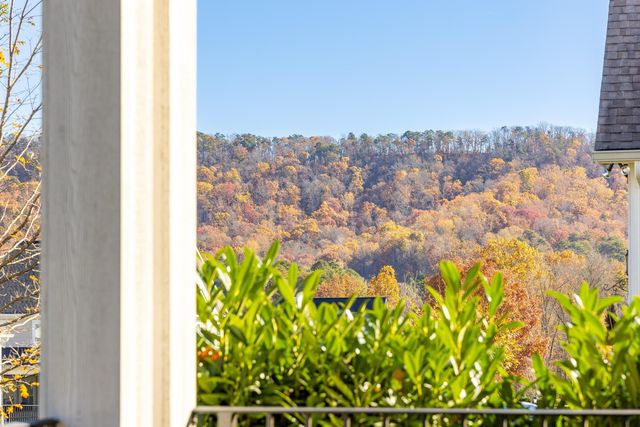 9230 White Ash Drive, Ooltewah, TN 37363