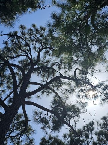 2700 BAYSHORE BOULEVARD 2B, Dunedin, FL 34698