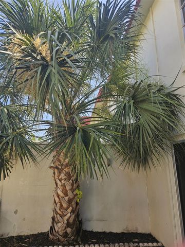 2700 BAYSHORE BOULEVARD 2B, Dunedin, FL 34698