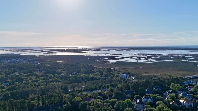 2629 Coral Vine Court, Mount Pleasant, SC 29464