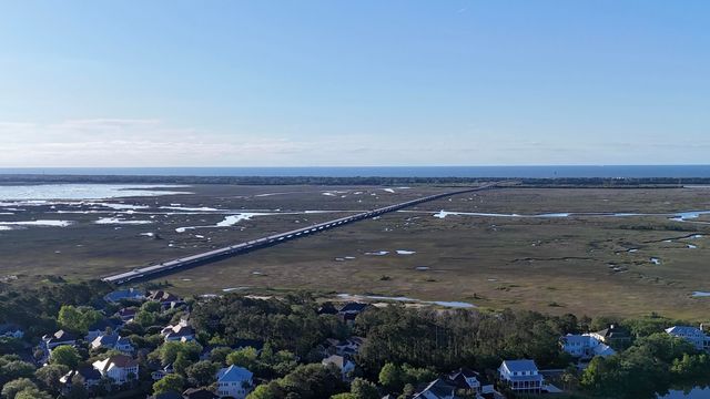 2629 Coral Vine Court, Mount Pleasant, SC 29464