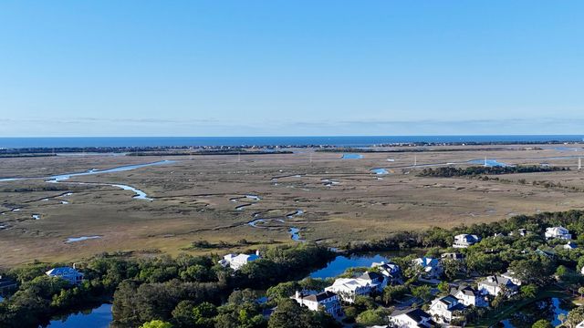 2629 Coral Vine Court, Mount Pleasant, SC 29464
