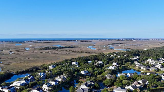 2629 Coral Vine Court, Mount Pleasant, SC 29464
