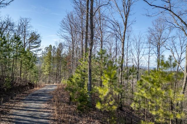 Lot 89 Thirteen Hundred, Blairsville, GA 30512