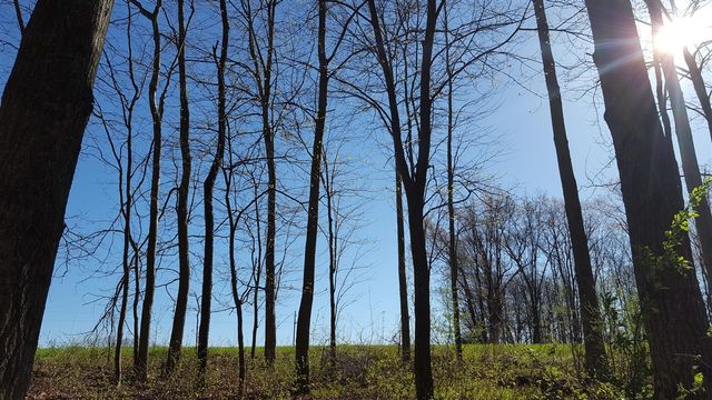 794 Greystone Drive, Chelsea, MI 48118