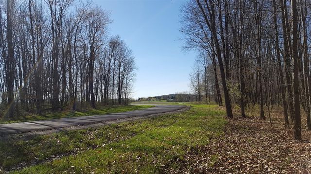 794 Greystone Drive, Chelsea, MI 48118