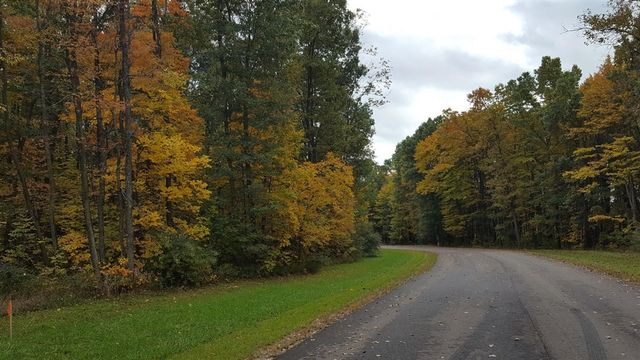 794 Greystone Drive, Chelsea, MI 48118