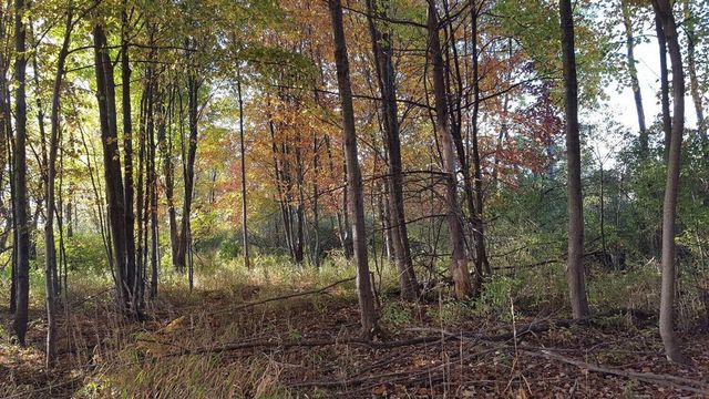 794 Greystone Drive, Chelsea, MI 48118