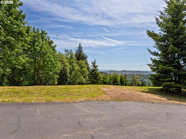 430 Runyan Rd, Woodland, WA 98674