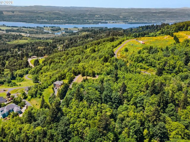 430 Runyan Rd, Woodland, WA 98674