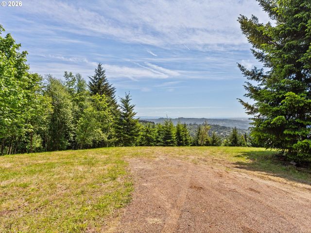430 Runyan Rd, Woodland, WA 98674