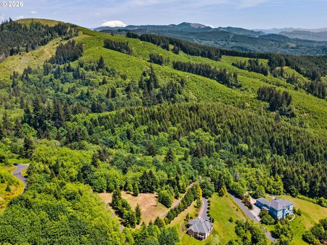 430 Runyan Rd, Woodland, WA 98674