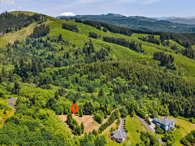 430 Runyan Rd, Woodland, WA 98674