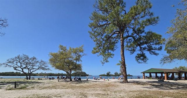 2216 PARROT FISH DRIVE, Holiday, FL 34691