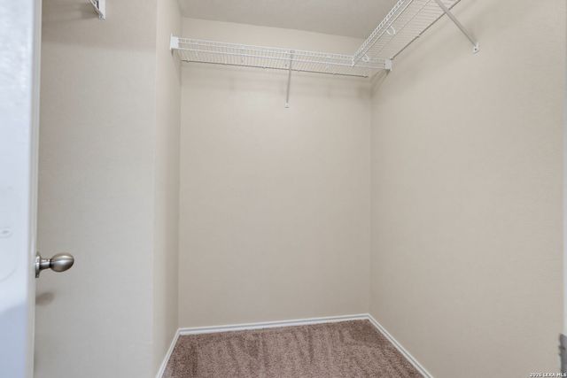 103 CORIANDER BND, San Antonio, TX 78253