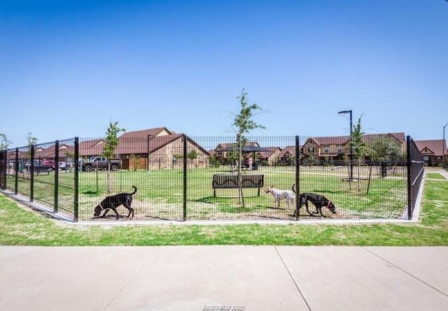 3338 Cullen Trail, College Station, TX 77845